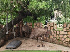 -J Create城市露营咖啡·简餐·宠物(上海动物园店)