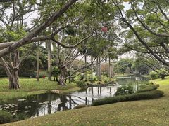 -云溪植物园