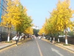 -西南政法大学(渝北校区)