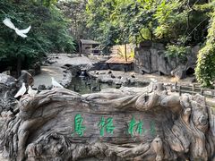 -燕塞湖鸟语林景区