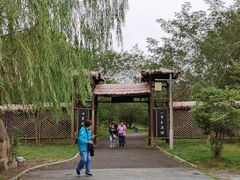 -杏花村文化旅游区