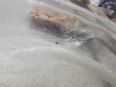 -左陕右甘(亚运村店)