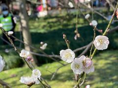 -杭州植物园