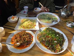 -邛海风味特色菜馆