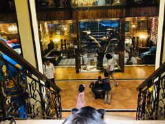 -more than meow吴止猫主题餐厅(承德 中船汇店)