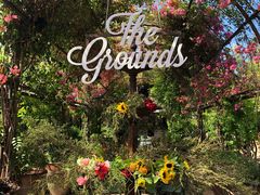 -The Grounds of Alexandria