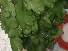 -枫花园汽车电影院(朝阳公园店)