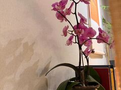 -十二舍·湯物素煮(江泰潤政店)