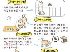 -唐小姐の猫狗洗护·购宠旗舰店(周浦万达店)