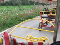 -桤木河湿地公园