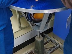 -瑞派动物医院·猫专科·至诚(江南中分院)