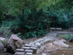 -广州白江湖森林公园