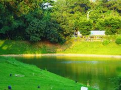 景观位-顺风山庄(水濂山店)