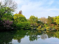 -山外山菜馆(玉泉路店)
