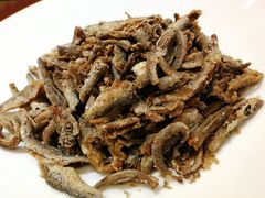 -巴人堂(女儿城店)