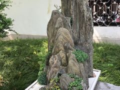 -上海醉白池公园