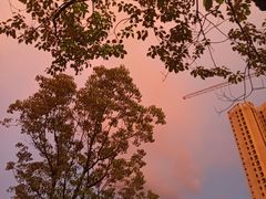 -鲍加兵师傅糕点(永嘉店)