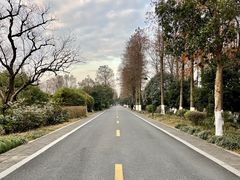 -西溪国家湿地公园