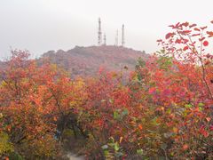 -北京西山国家森林公园