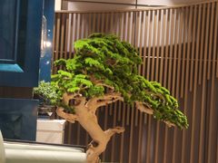 -青水瓦台汤泉(未央店)