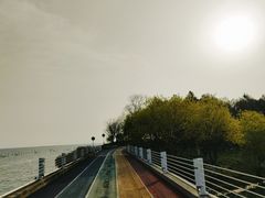 -贡湖湾湿地公园