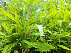 -宝界山林公园