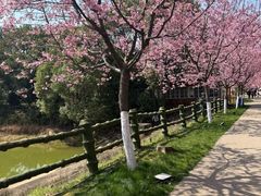 -凤凰沟景区