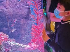 -沈阳海洋探索中心