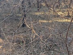 -沈阳辉山风景区