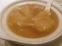 -新同乐鱼翅酒家(美丽华店)