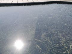 -上海月湖雕塑公园