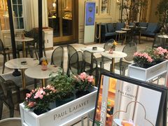 -PAUL LAFAYET 法式甜品(港汇广场店)