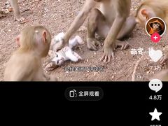 -昆明动物园