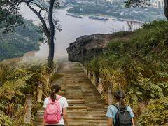 -铁山坪森林公园