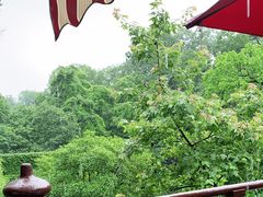 -龙井壹号·茶缘山景宴(龙井村店)