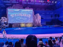 -华夏文旅海洋公园