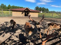 -安德鲁户外烧烤帐篷营地(马泉营店)