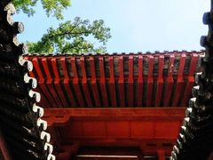-灵谷景区