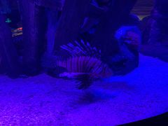 -沈阳海洋探索中心