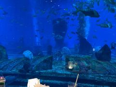 -亚特兰蒂斯•OSSIANO奥西亚诺海底餐厅