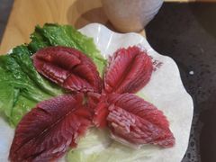 -潘小辣鲜肉老火锅