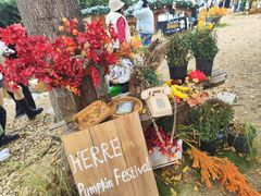 -HERRE·FARM 赫尔露营农场·团建聚会包场