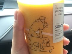 多肉芒芒甘露-喜茶(慈溪银泰城店)