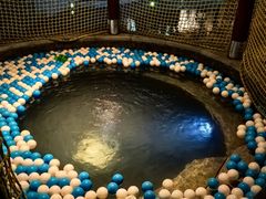 -惠州金海湾嘉华度假酒店