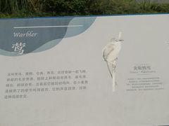 -白鹭湾湿地公园