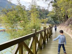 -广州市流溪河国家森林公园