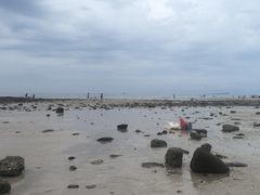 -贝壳沙滩