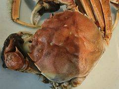 -金滏山·烤肉海鲜火锅自助(襄阳万达店)