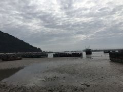 -北岐滩涂
