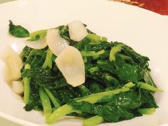 豆苗-上海小南国(世博源店)